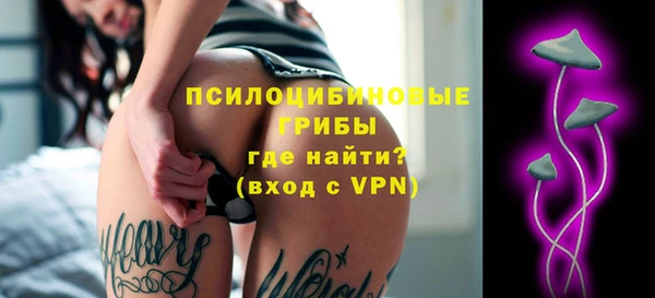 молекула духа Нефтекумск