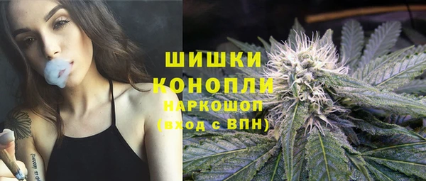 прущая мука Нея