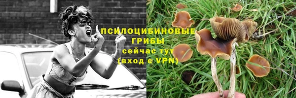 прущая мука Нефтегорск