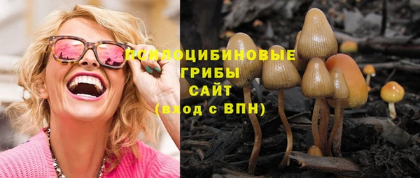 молекула духа Нефтекумск